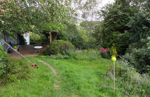 ruhiges Wohnen am Lama und Maine Coon Hof in Alleinlage in Biederbach 3 Zimmer mit Kochgelegenheit Bad - Foto 67