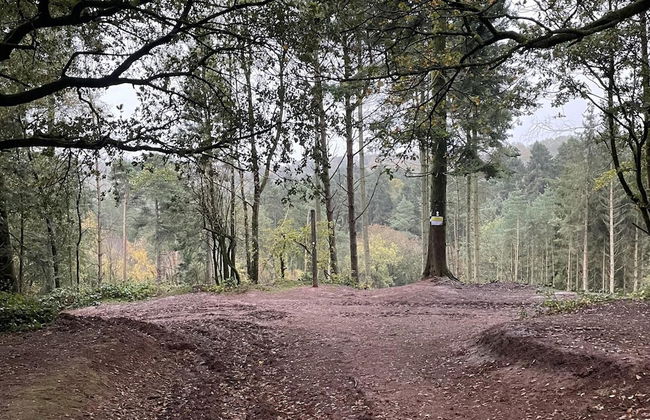 Studio/lickey Hills/near Attractions/garden/petok - Foto 9