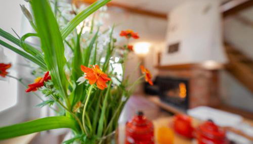 KUĆA ZA ODMOR DANICA - Foto 3