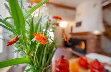 KUĆA ZA ODMOR DANICA - Foto 3