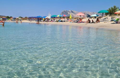 Stella di Coda Cavallo - Foto 31