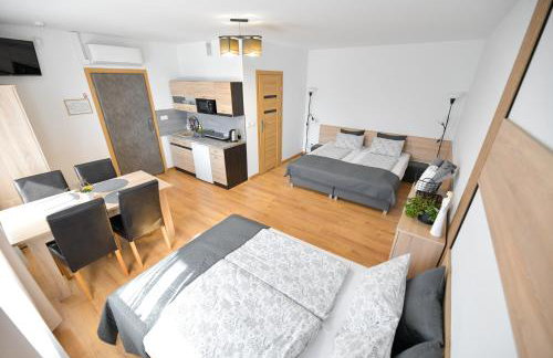 Apartamenty Tilia Laskowa - Zator - Foto 57