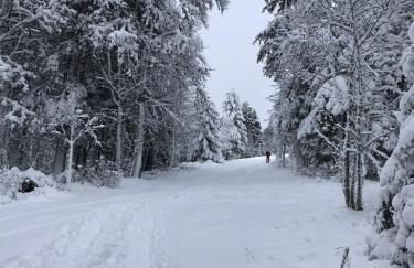 Gîte Les Plains Champs - Foto 13