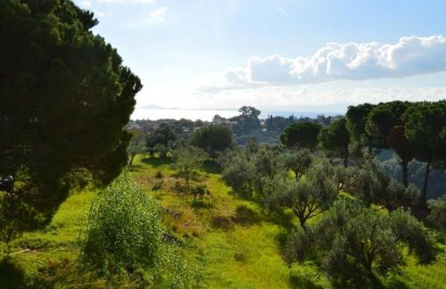 Koukounaries Studios - Foto 67