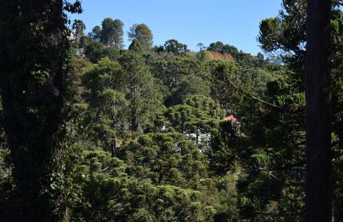 Espaço Inteiro - Apartamento Elegante e Cheio de Charme - Foto 9