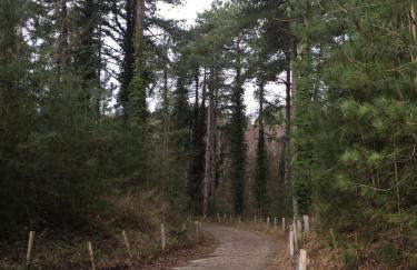 Maison calme Quend-Plage - Photo 28