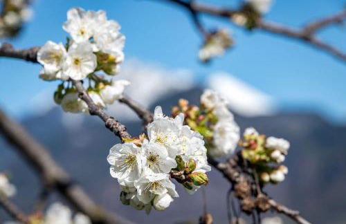 Georgenhöhe - Photo 48