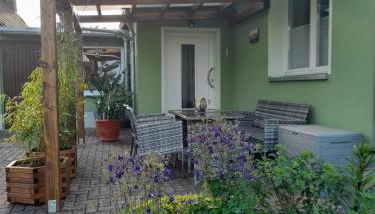 Töpferblick - Foto 4