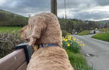 Cosy Victorian house on Waterfall Street - Foto 28