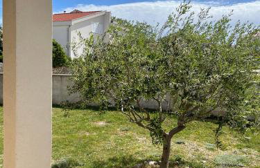 Apartmani Jakovinović - Photo 16