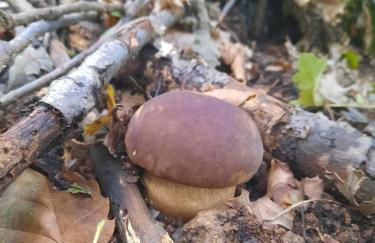 La Casa del Mugnaio - Foto 15