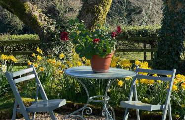 Elm Tree Cottage - Foto 42