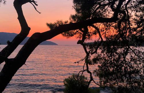 House Sidro, Stari Grad - Photo 43