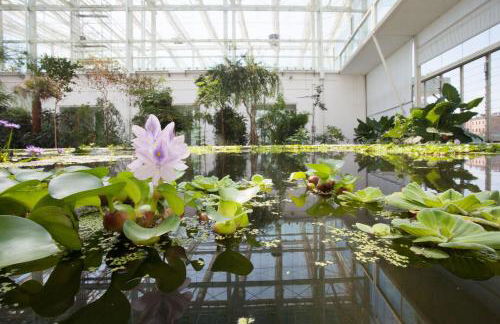 In Blu Santo Ospedale - Photo 17