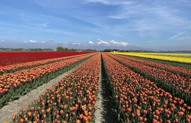 Welcoming Apartment Near Lake - Photo 13