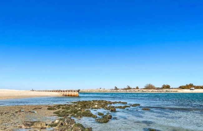 Glass Villa East Hampton - Foto 48