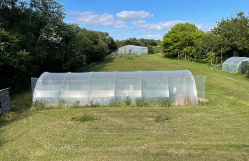 Ty Queff Lodge - Foto 24