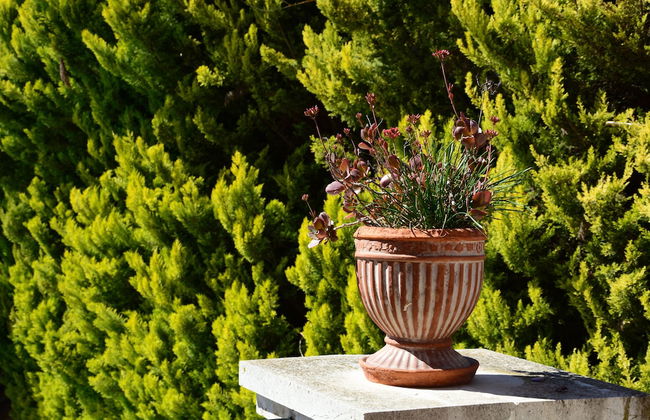 Villa Pasiphae - Photo 52