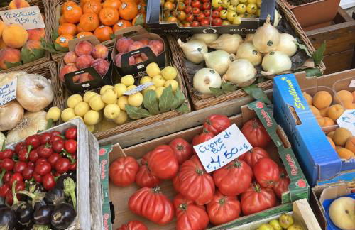 Aquarium Apt SML - Parcheggio Gratis, Terrazzo - Foto 35