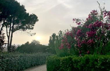 Brezza marina - Foto 22