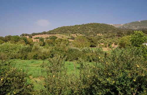 Casa Rural El Níspero - Foto 21