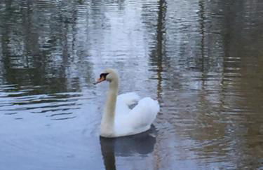 FeWo Lahnblick - Photo 14