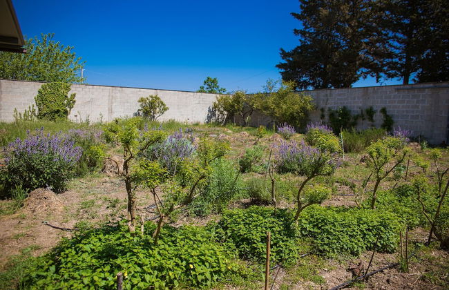 Agriturismo biologico Piccapane - Photo 22