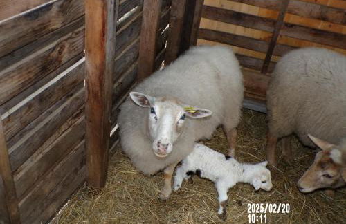Gîte le Relais de la Cavayere - Foto 23