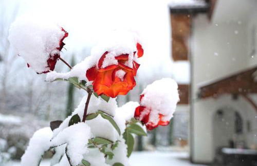 Apartments Tratter - Foto 20