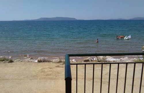 Loutsa Finikounta, 1room Apartment on the beach - Photo 11