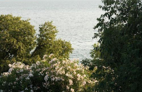 Apartment Eva - Photo 5