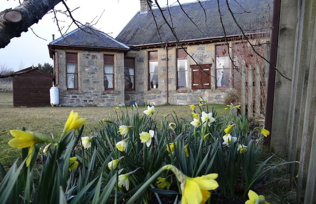 Shetland Cottage - Foto 12