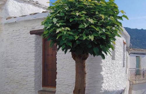 Casa El Rincón del Ángel - Photo 1