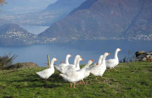 Agriturismo Piccolo paradiso - Foto 60