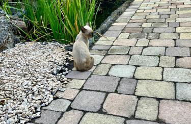 Li Cuti Apartments 179 - Foto 31