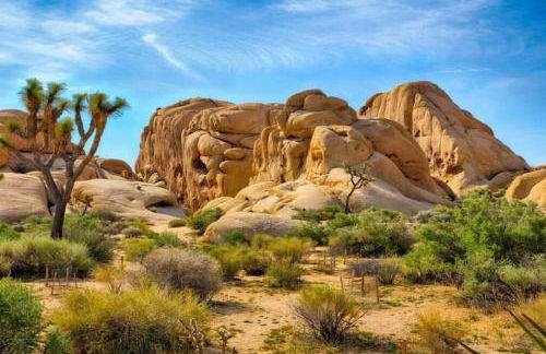 15 min to JT Park Hot Tub Cute Design Full Kitchen - Foto 23