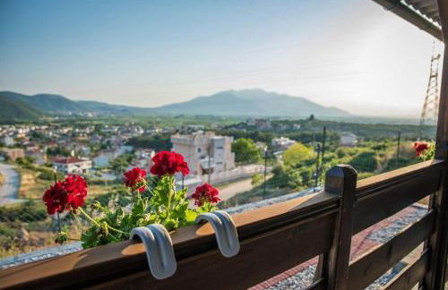 ΛΩΤΟΣ - Photo 14