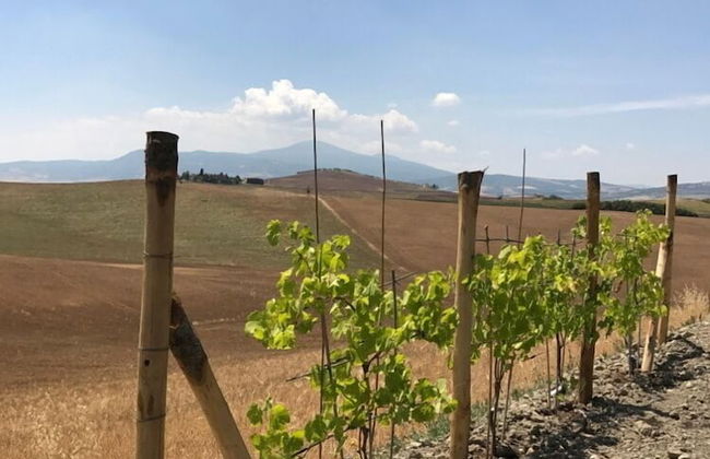 Verdidea - PRUGNOLO - Foto 58