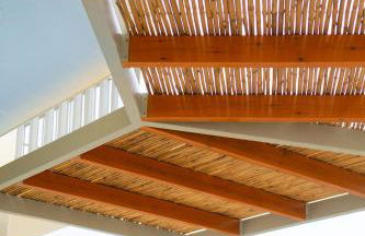 Physis Fokida - Foto 33