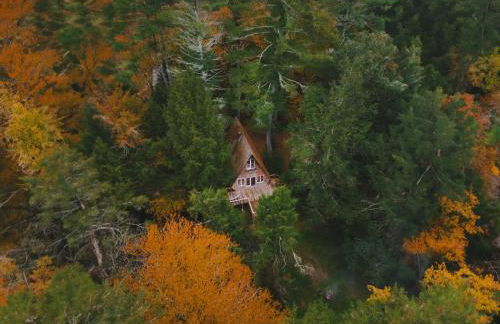 Enchanting River- Water Front A-Frame Cabin - Foto 52
