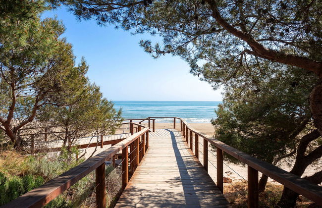 El Palmar Playa Romana - Foto 19