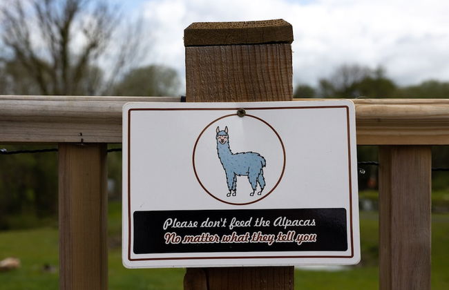 Willow Cottage - Foto 19