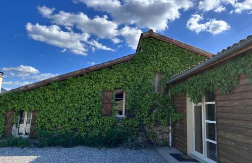 Domaine Mont saint juan - Photo 8