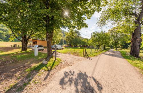 Forest Paradise - Foto 12