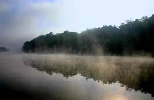 Edgewater Resort Cottage #1 - Foto 30