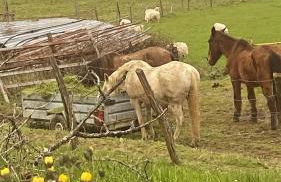 casa rural larre aundi - Foto 24