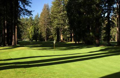 Sweet Creek - Photo 65