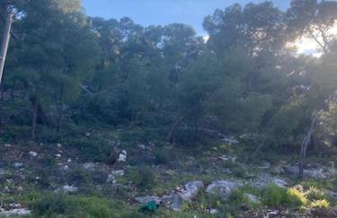 Agistri Island Dream - Foto 6