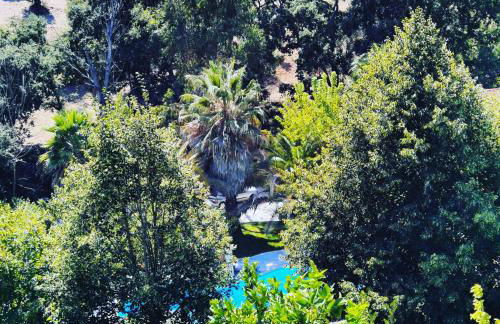 Quinta do Vale Encantado "the Valley" - Santarém - Portugal - Foto 70