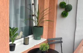 Zielony Makusz - Foto 8